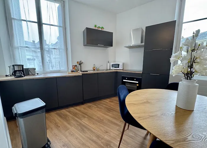 Centre Terrasse Et Vue Chateau Апартаменты Сомюр